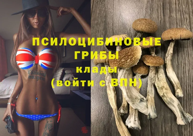 купить закладку  Галич  Псилоцибиновые грибы Cubensis 